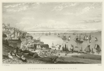 Puerto de Queenstown de William Henry Bartlett
