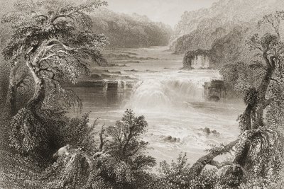 Salto del salmón en Leixlip, Condado de Kildare, de 