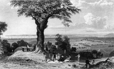 Escena de Laindon Hill, cerca de Horndon, Essex, grabado por Henry Wallis de William Henry Bartlett