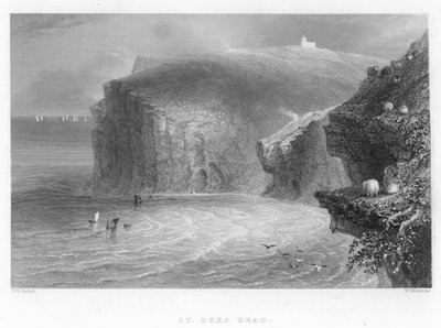 Cabeza de St Bees de William Henry Bartlett