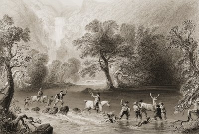 Cazando un ciervo cerca de la cascada Derrycunnihy, Condado de Kerry, Irlanda, de 