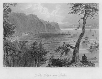 Depósito de madera cerca de Quebec de William Henry Bartlett