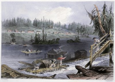 Transporte de madera a “los Gatos” - en “Paisajes canadienses ilustrados” de Bartlett W. H. de William Henry Bartlett