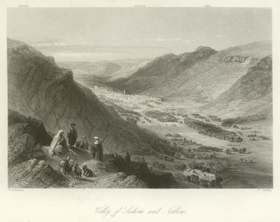 Valle de Sichem y Nablus, Palestina de William Henry Bartlett