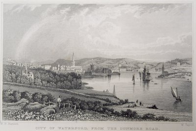 Vista de Waterford desde The Dunmore Road, Irlanda, grabado por W. Taylor de William Henry Bartlett