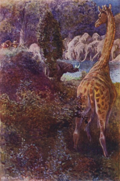 Ilustración para Los cazadores de gorilas por R M Ballantyne (litografía a color) de William Henry Charles Groome