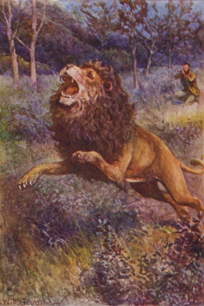 Ilustración para 