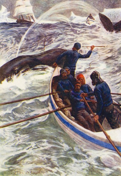 Ilustración para El mundo del hielo o el crucero ballenero del Delfín (litografía en color) de William Henry Charles Groome