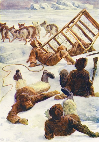 Ilustración para El mundo del hielo o el crucero ballenero del Delfín (litografía en color) de William Henry Charles Groome