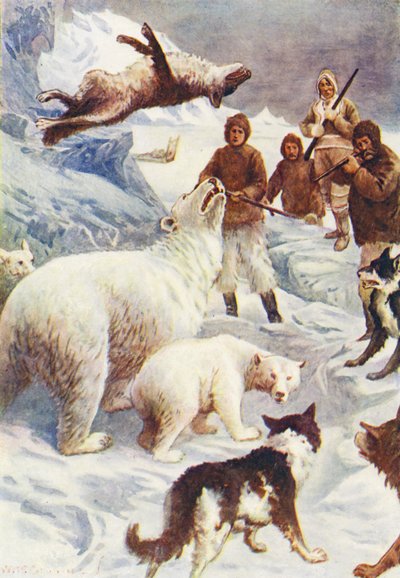 Ilustración para El mundo del hielo o el crucero ballenero del Delfín (litografía en color) de William Henry Charles Groome
