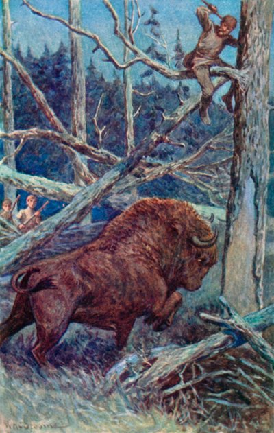 El bisonte pateó el suelo en su furia de William Henry Charles Groome