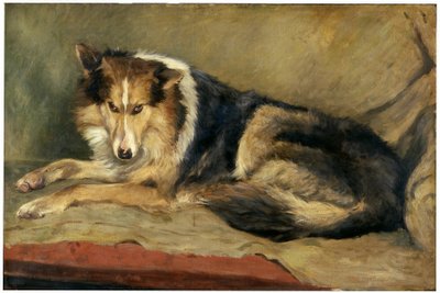 Perro Collie de William Henry Charlton