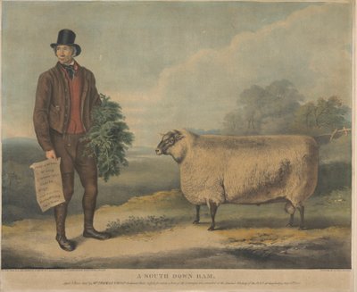 Un carnero de South Down; de 3 años de edad, criado por el Sr. Thomas Crisp, Gedgrave Hall, Suffolk, por el que se concedió un premio de 30 Severeigns en la reunión anual de la R.A.S. en Cambridge, el 15 de julio de 1840. de William Henry Davis