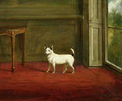 Retrato de un Terrier Jack Russell (en Interior Regencia) 1814 de William Henry Davis
