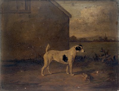Waterloo Spot, 1816 de William Henry Davis
