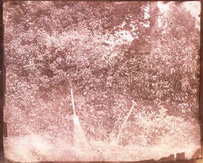Escoba y pala, 1842 de William Henry Fox Talbot