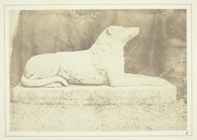 Efigie de Maida, la perra favorita de Sir W. Scott, junto a la puerta del vestíbulo de Abbotsford. de William Henry Fox Talbot
