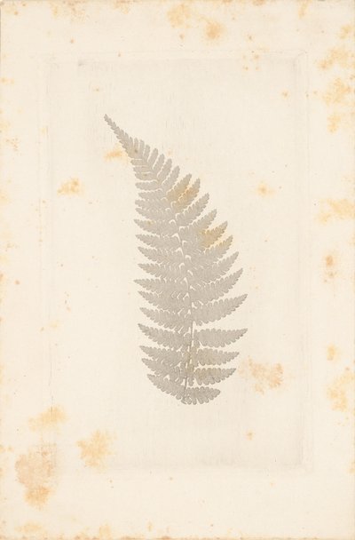 [Lejos] de William Henry Fox Talbot