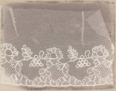 Encaje de William Henry Fox Talbot