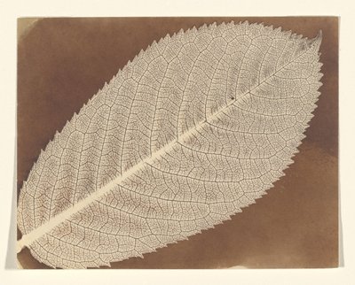  de William Henry Fox Talbot