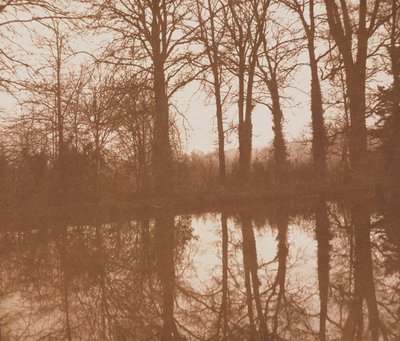 Reflejos, 1843 de William Henry Fox Talbot