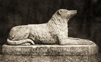 Estatua de Maida, reportado como el perro favorito de Sir Walter Scott de William Henry Fox Talbot