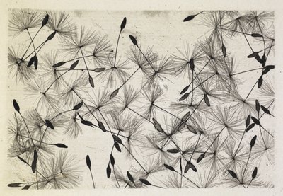 Talbot foto 24 1730 de William Henry Fox Talbot