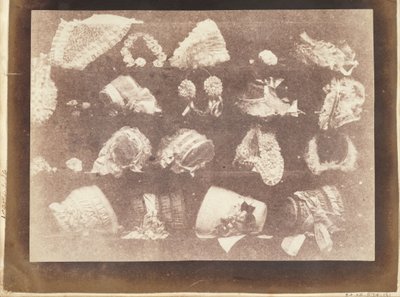 La ventana de la sombrerera de William Henry Fox Talbot