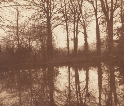 Árboles de invierno, reflejados en un estanque de William Henry Fox Talbot