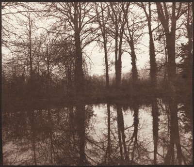 Árboles de invierno reflejados en un estanque de William Henry Fox Talbot