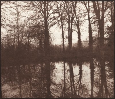 Árboles de invierno reflejados en un estanque, 1841-42 de William Henry Fox Talbot