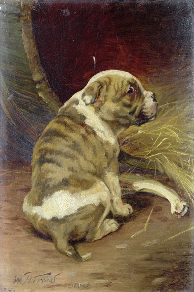 Dale un Hueso a un Perro, 1888 de William Henry Hamilton Trood