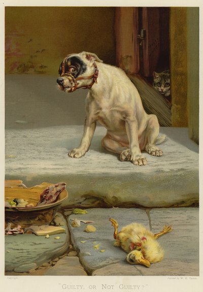 Culpable o no culpable (cromolitografía) de William Henry Hamilton Trood