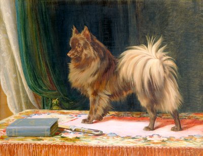 Retrato del Príncipe de la Pradera, 1897 de William Henry Hamilton Trood