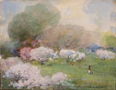 Cerezos en flor de William Henry Holmes