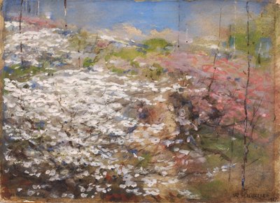 Campo de flores de William Henry Holmes