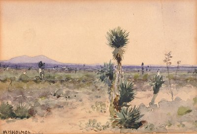 Yuccaland--Chihuahua, México de William Henry Holmes