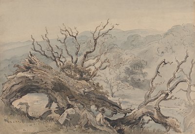 Un roble caído de William Henry Hunt