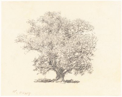 Un árbol con hojas completas de William Henry Hunt