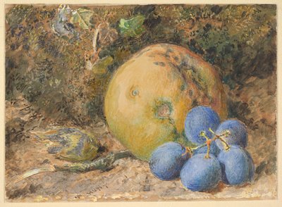  de William Henry Hunt
