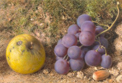 Manzana, Uvas y un Cob-Nut de William Henry Hunt