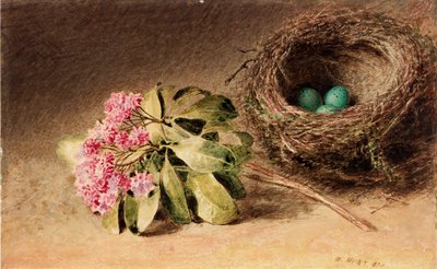 Nido de pájaro con flor de William Henry Hunt