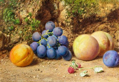 Uvas negras, melocotones, albaricoques y frambuesas, c.1860 de William Henry Hunt