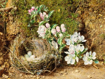 Rama de flor de manzano y nido de pájaro de William Henry Hunt