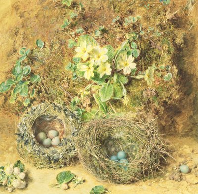 Primaveras y nidos de pájaros de William Henry Hunt