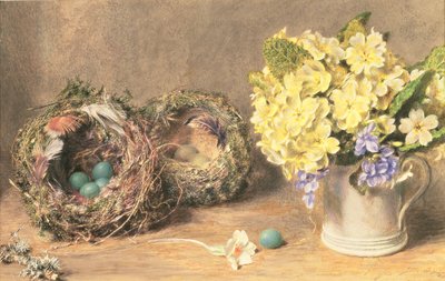 Flores de primavera y nidos de pájaros, c.1830 (acuarela y acuarela sobre papel) de William Henry Hunt