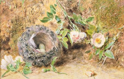 Naturaleza muerta con nido de pinzón de William Henry Hunt