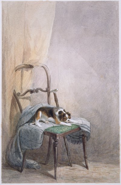 Estudio de un perro en una silla de William Henry Hunt
