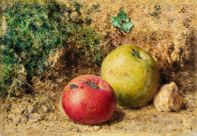 El Contraste - Manzanas Rojas y Verdes, c.1860 de William Henry Hunt