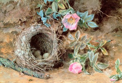 Rosas silvestres y nidos de pájaros de William Henry Hunt